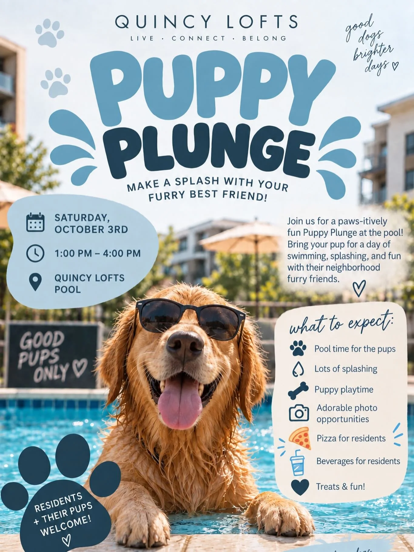 🐾💦 Paws, splash, repeat! 🐶

Join us at Quincy Lofts for our Puppy Plunge on Saturday, October 3rd from 1&ndash;4 PM! Bring your furry bestie for an afternoon of poolside fun &amp; treats before we say goodbye to pool season. ☀️🐾

🍕 Pizza + bever
