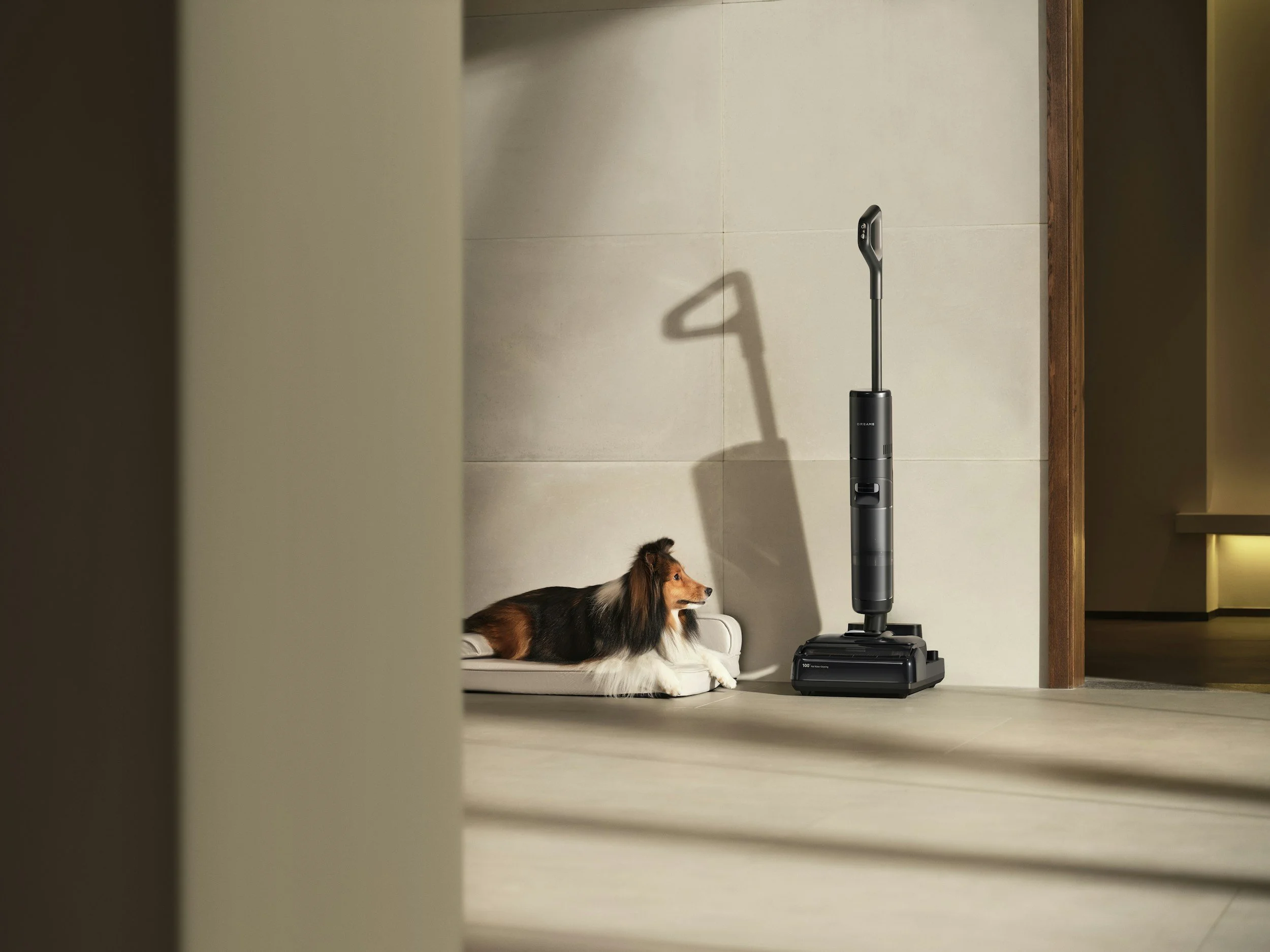 Staubsaugerhunde – Wenn dein Hund alles frisst, was er findet - AUSGEBUCHT