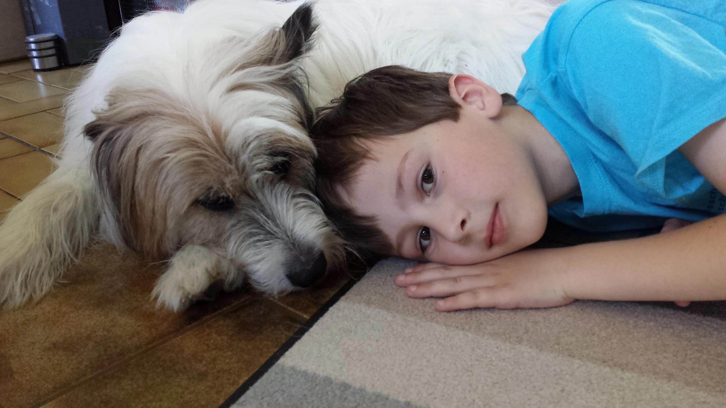 Hunde und Kinder – Chancen, Verantwortung und Sicherheit