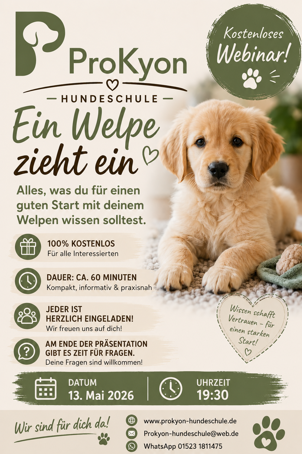 En Welpe zieht ein! Kostenloses Webinar für alle Interessierten