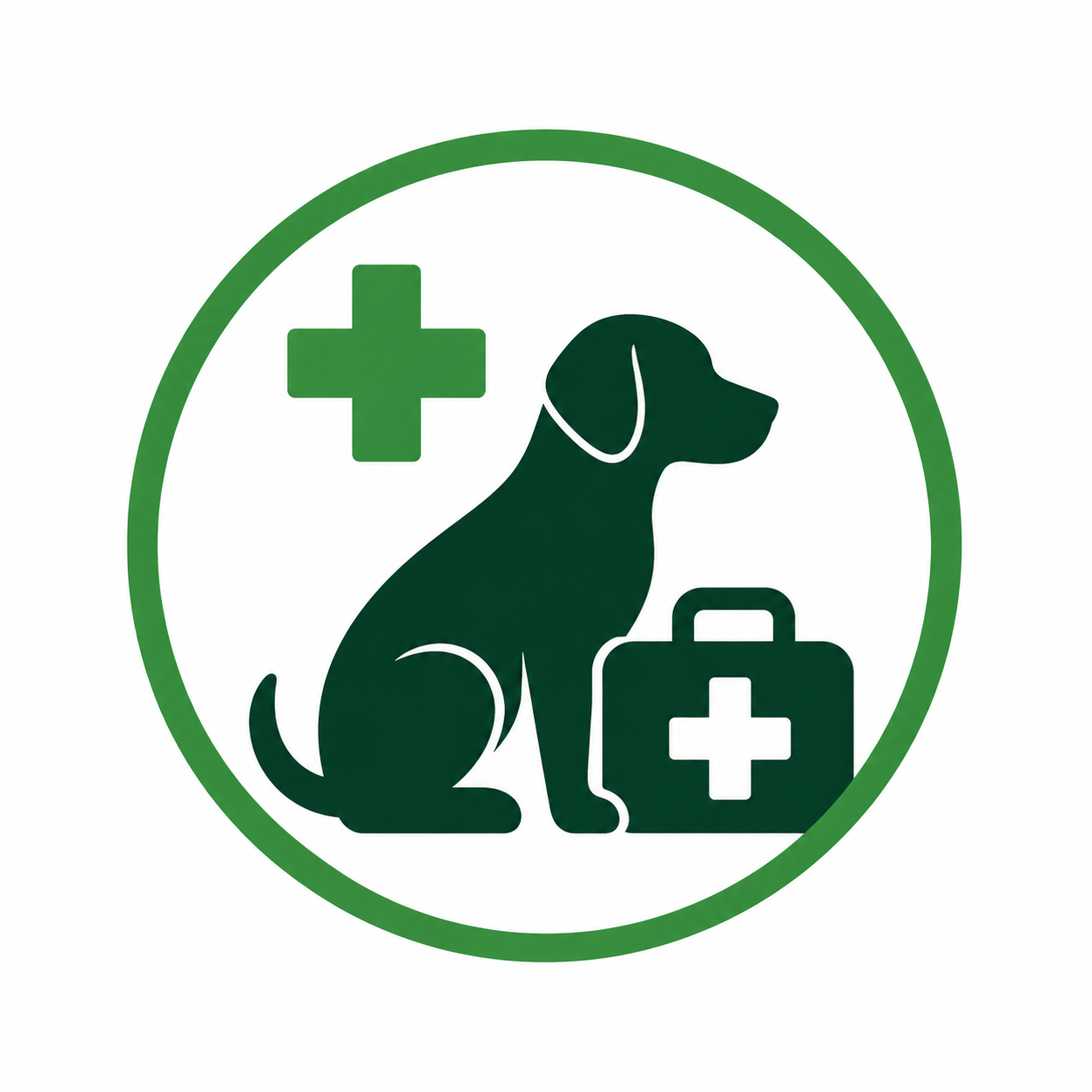 Erste Hilfe am Hund – Wissen, das im Ernstfall zählt