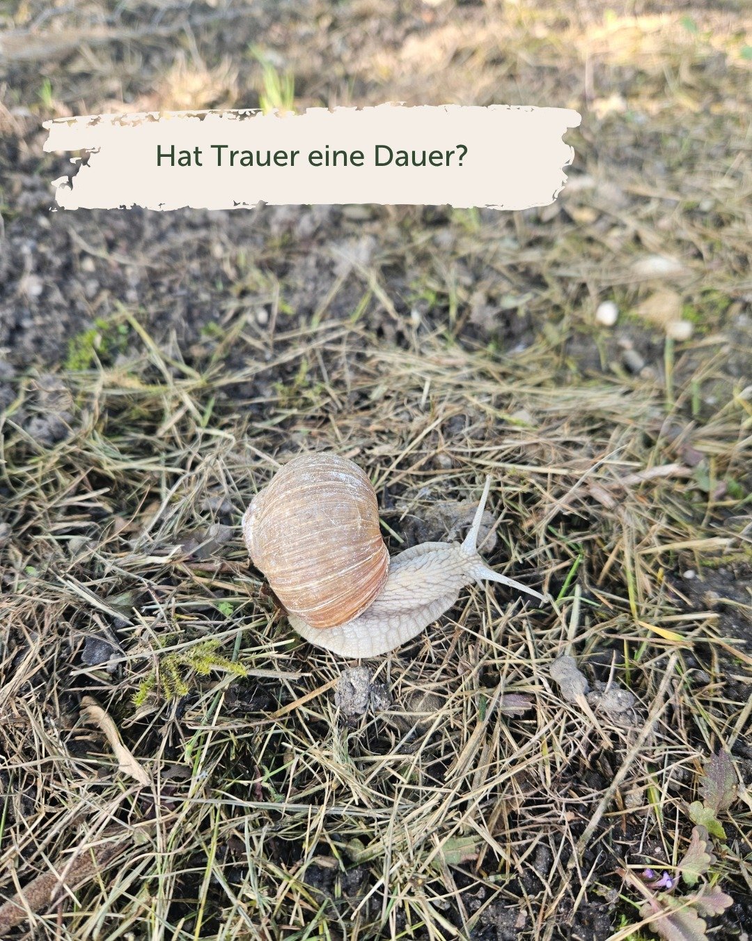 Trauer und ihre Dauer ist aus meiner Sicht ein Thema, das immer wieder f&uuml;r Trauernde eine Herausforderung ist.

Sowohl in meiner Forschung als auch in Begleitungen habe ich erlebt, dass Trauernde oft nur eine gewisse (immer k&uuml;rzer werdende)