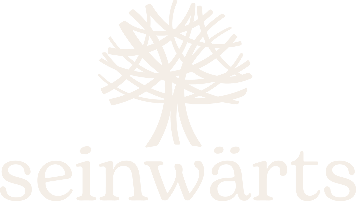 seinwärts - Patrizia Lehmann