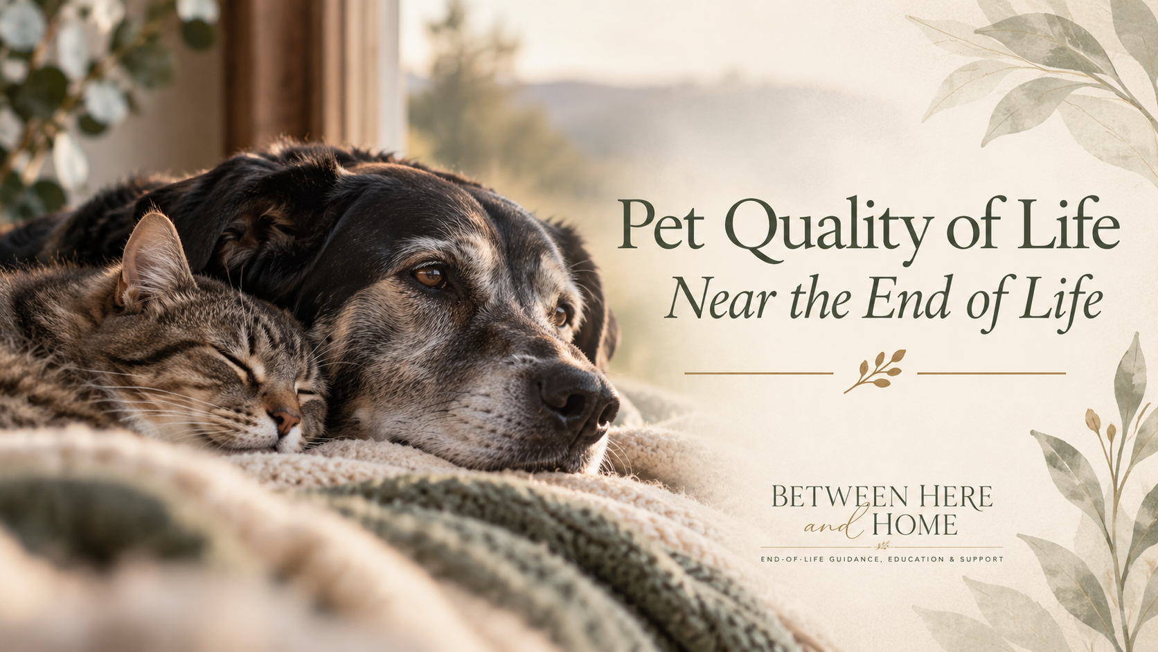 A dog and a cat resting together on a soft surface, with a soft background featuring leaves, alongside the text "Pet Quality of Life Near the End of Life" and a smaller note "Between Here and Home".
