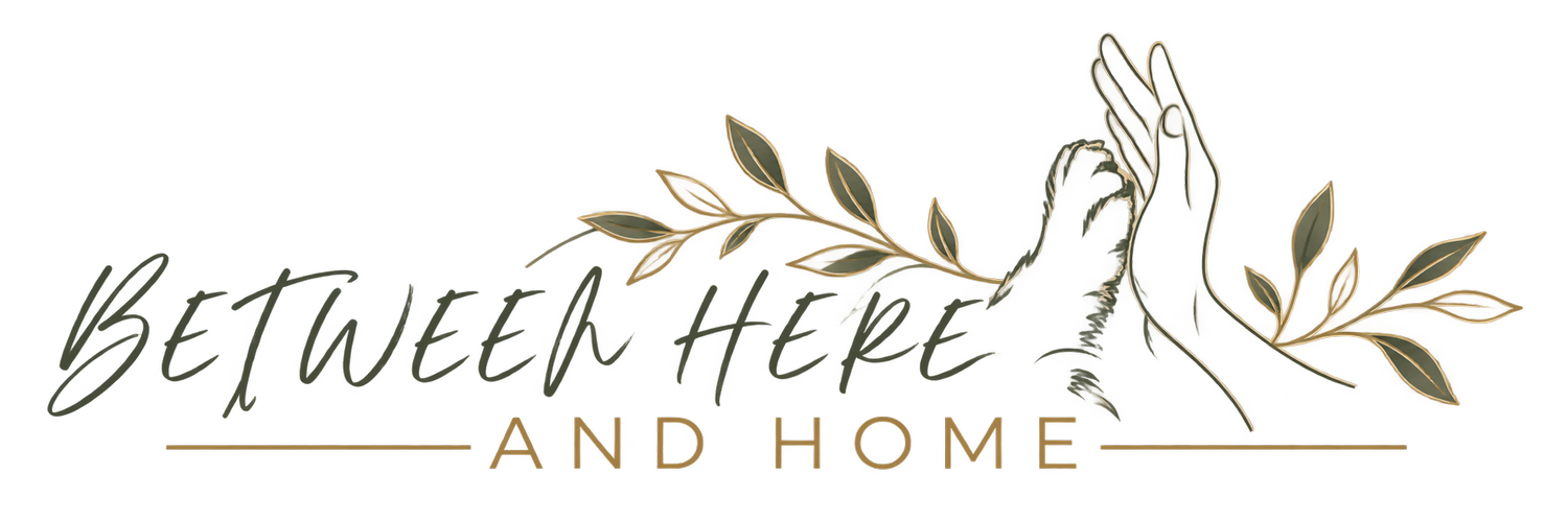 Between Here and Home
