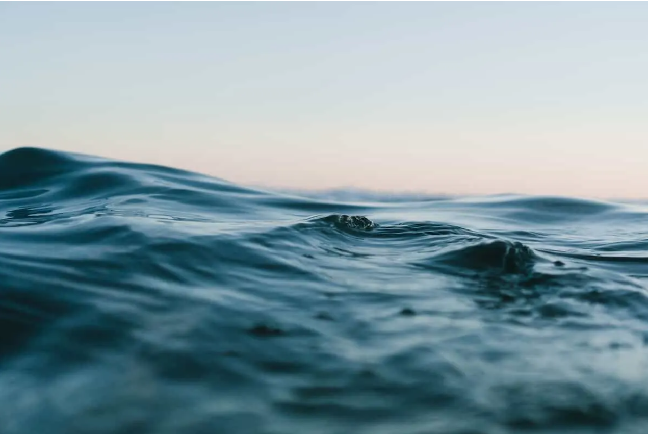 Free Support Group (self-esteem & self-compassion)