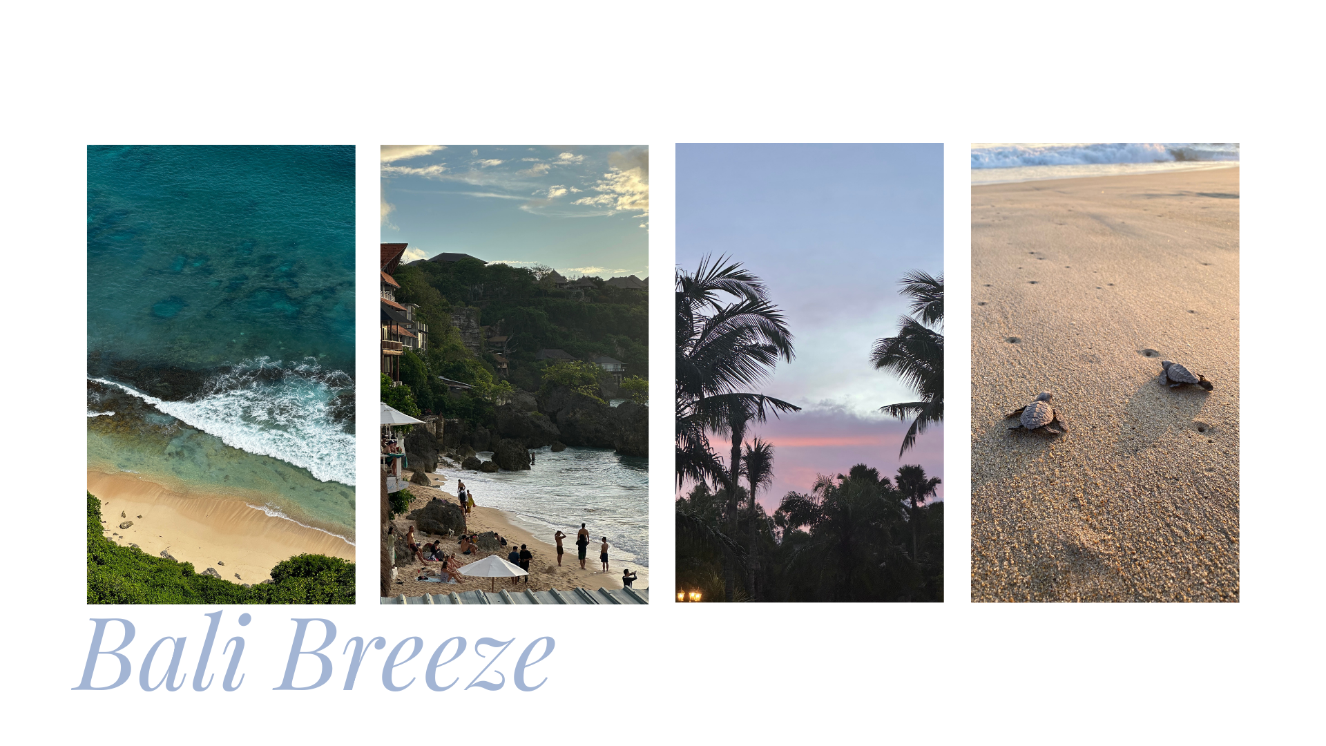Multiple images of beach scenes including an aerial view of a beach with waves, a group of people on the beach with huts and rocky hills, a sunset scene with palm trees, and a close-up of sea turtles on sand.
