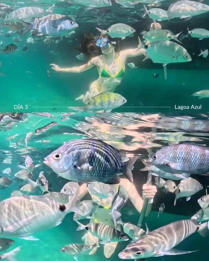 * d&iacute;a 3* ~ Nadando con pececitos 🐠