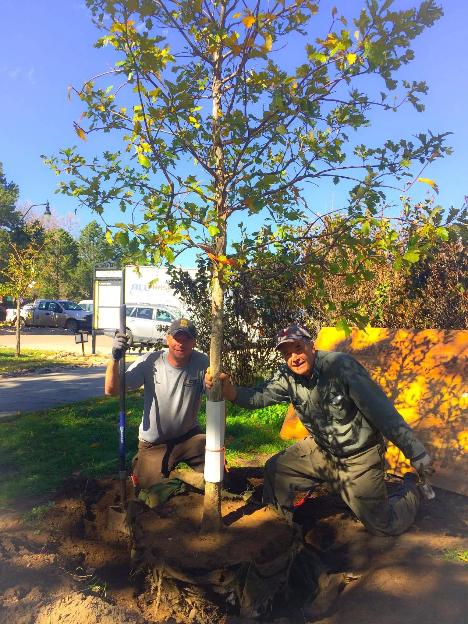 mike spruce holding up tree