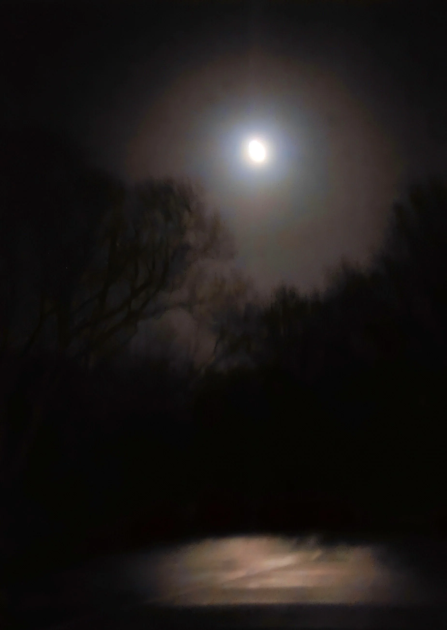 Hurst-Moon light Halo Dinton _Paul king.jpg