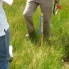 Person planting a tree in a grassy area