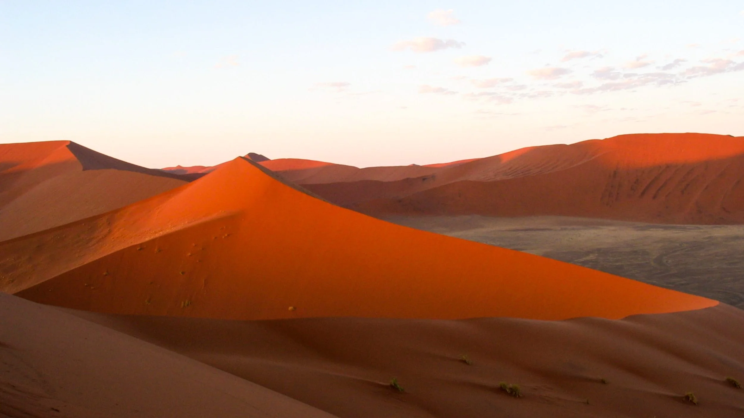 Sand dunes in a desert during sunset with a clear sky.