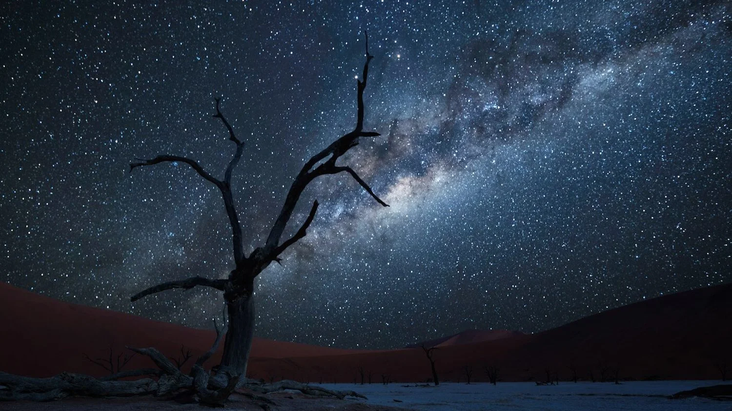 A barren, leafless tree in a desert landscape under a starry night sky with the Milky Way galaxy visible.