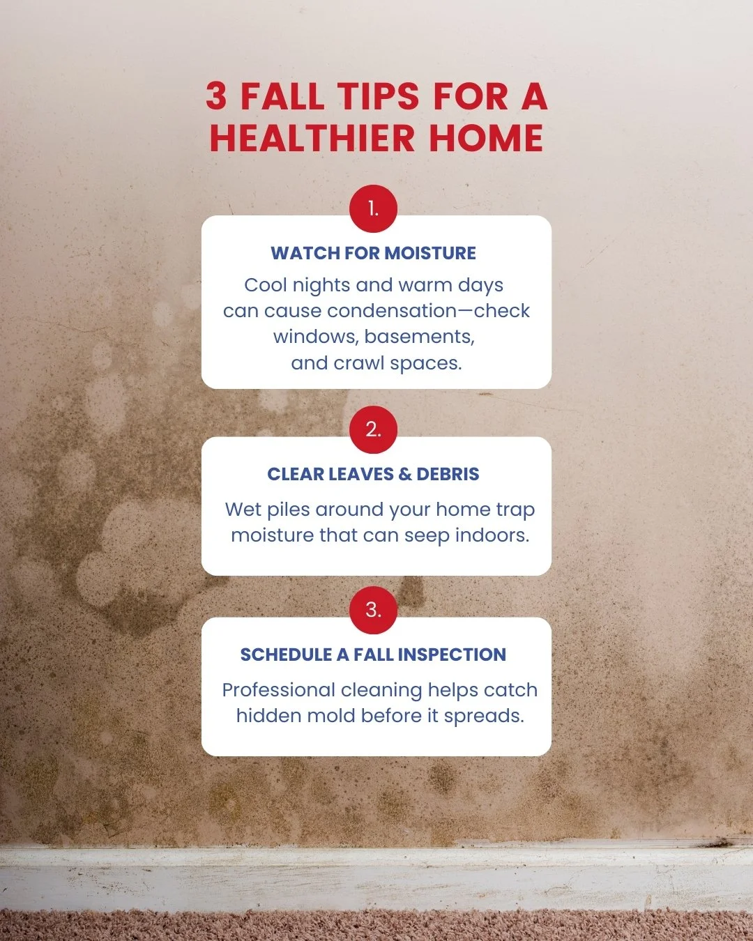 A list of three fall home tips with tips numbered 1 to 3. Tip 1: Watch for moisture, reminding to check windows, basements, and crawl spaces for condensation. Tip 2: Clear leaves and debris, suggesting to remove wet piles that trap moisture indoors. 