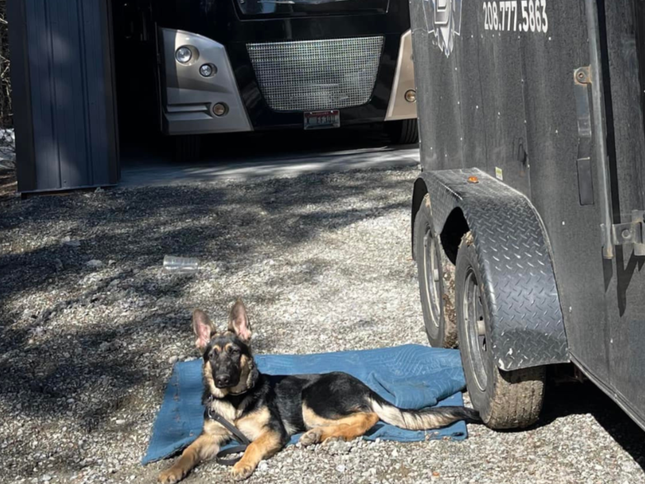 You'll likely meet Freya, she is on BMRV duty almost daily!