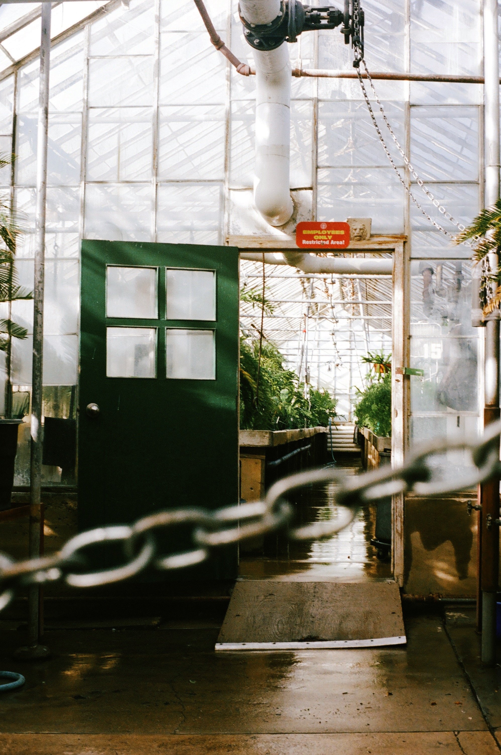 FullSizeRender_VSCO 11.JPG