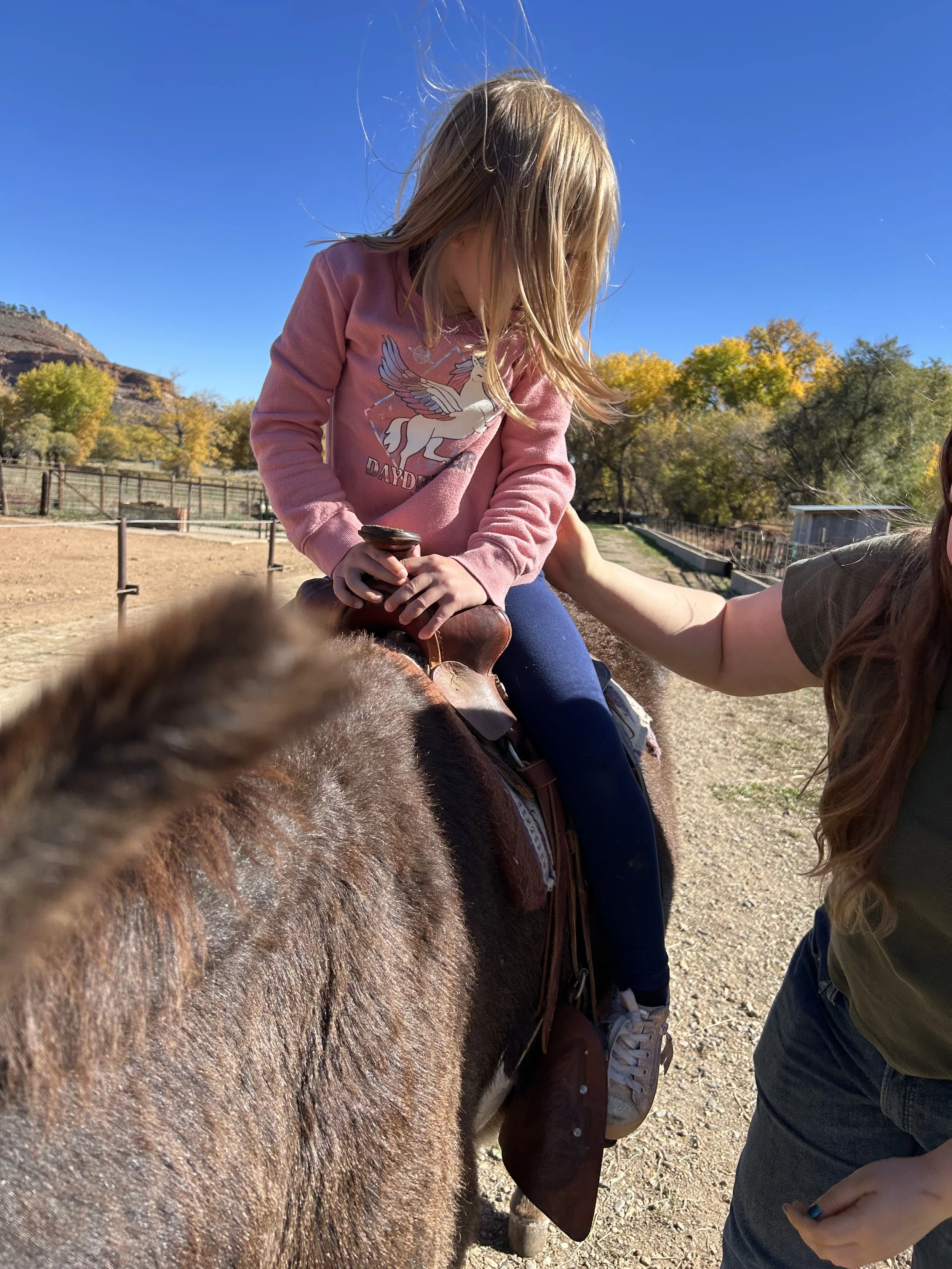 Petting Zoo + Donkey Rides