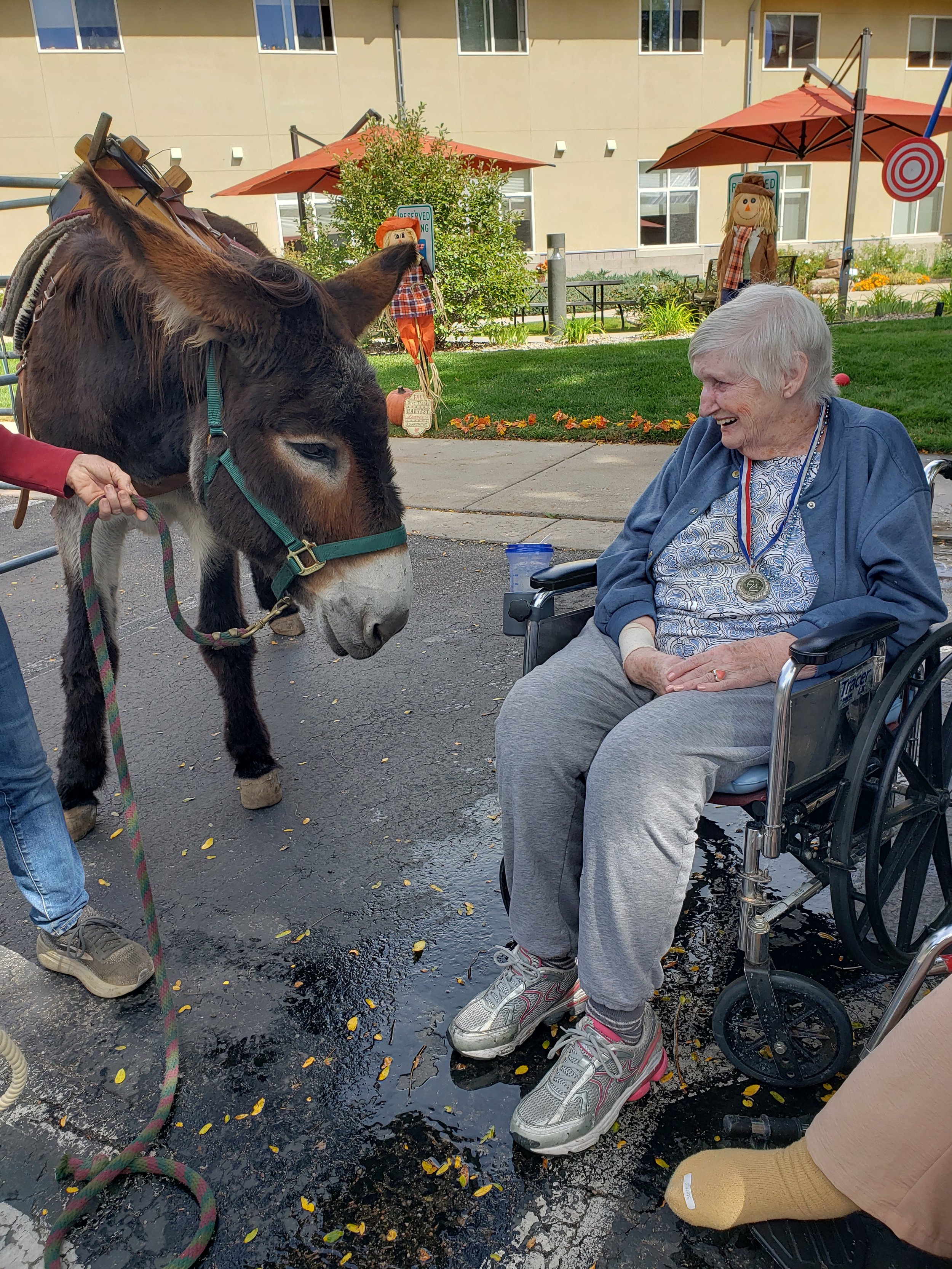 Gentle Hooves & Happy Hearts