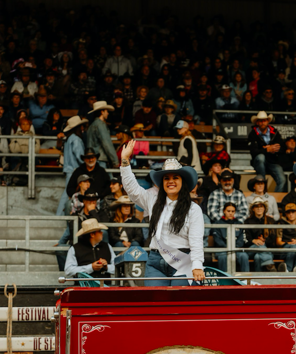 Service d'animation par MRQ