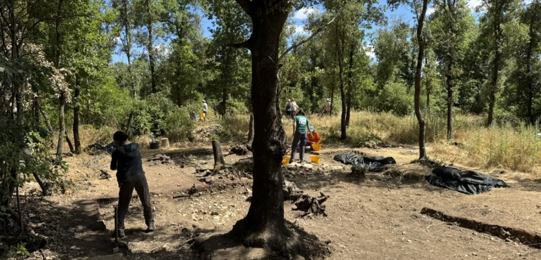 A central tree without branches is in front of an archaeological dig side against a forested background. Several workers are seen walking, holding orange buckets, or crouched in the dirt.