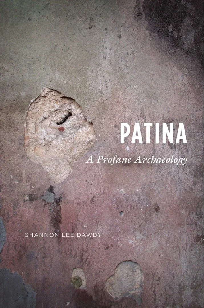 Cover for Patina: A Profane Archaeology by Shannon Lee Dawdy. The cover is of a brownish stone wall with a large gouge taken out