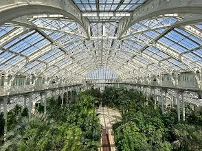 Glasshouses
