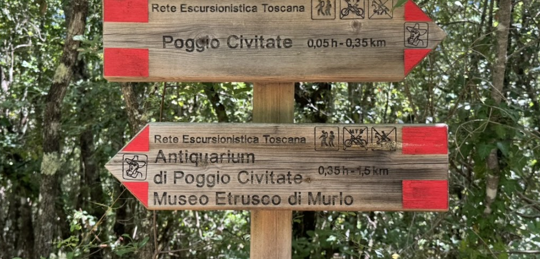 Two worn brown hiking signs with red paint on each corner on a post against a forested background. The top arrow points to the right and the bottom arrow points to the left. Each contains text in another language than english and images.