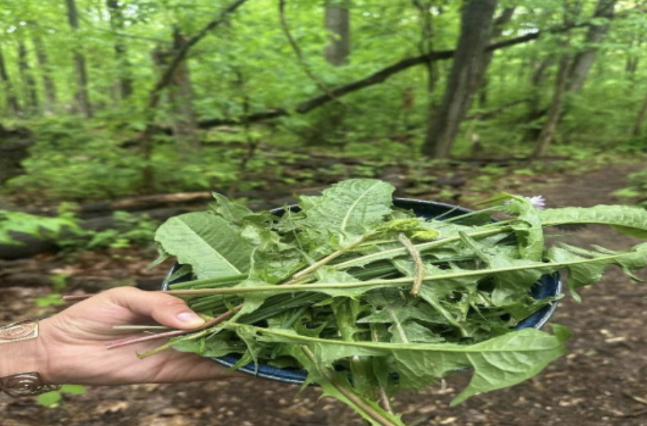 A hand holding a blue bowl of greens against a forested background