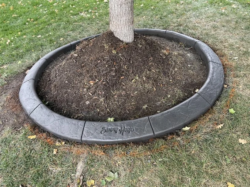 Spanish Slate, Sammy Hoops.jpg