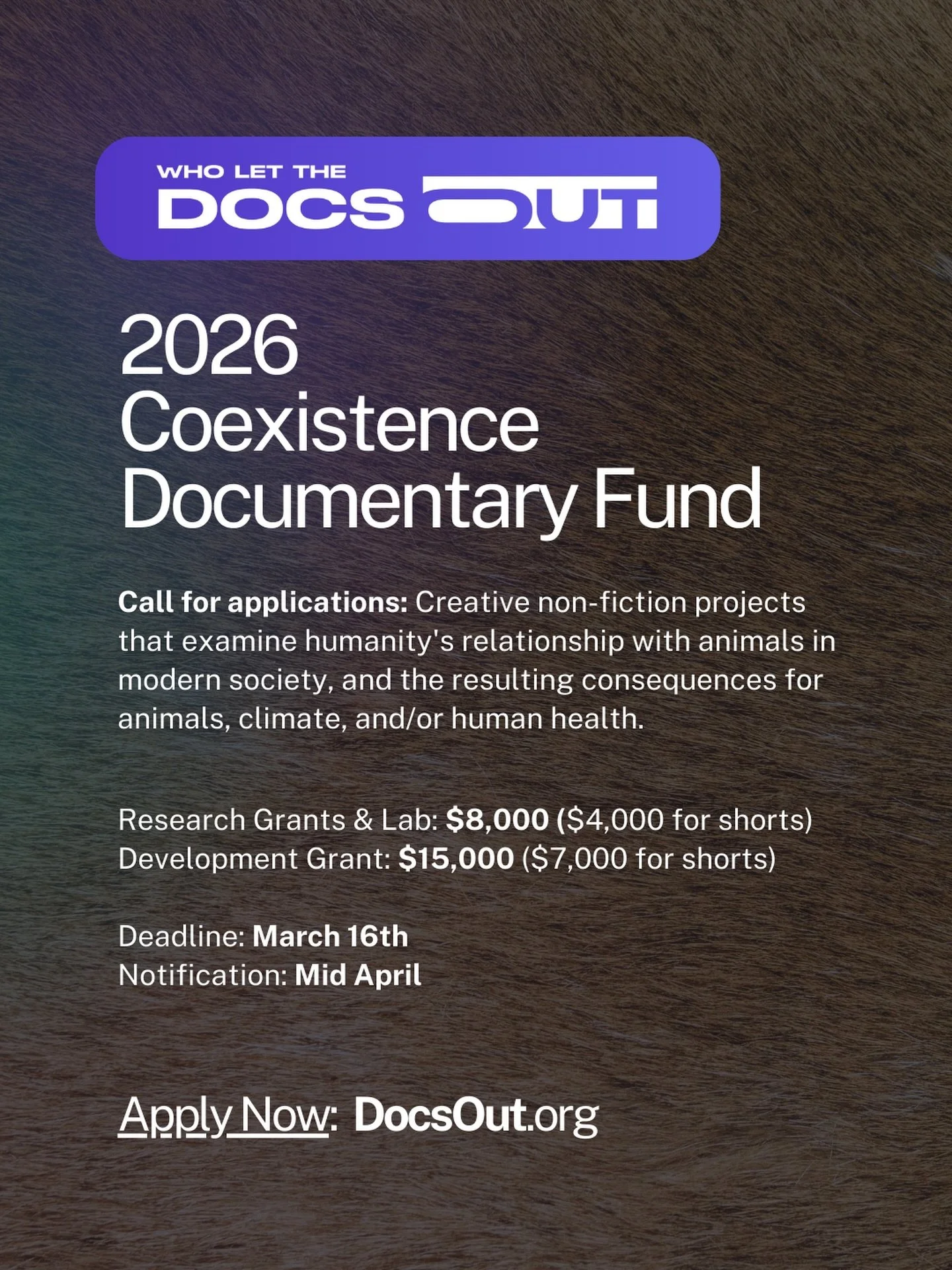 📣 TAKE OUR MONIES 💰

🤓Ahem, we mean&hellip; 📣 Applications for the 2026 Coexistence Documentary Fund are open now!

We want to make sure you&rsquo;ve got money for the messy, exciting, uncertain, but oh so important early stages of your doc. So h