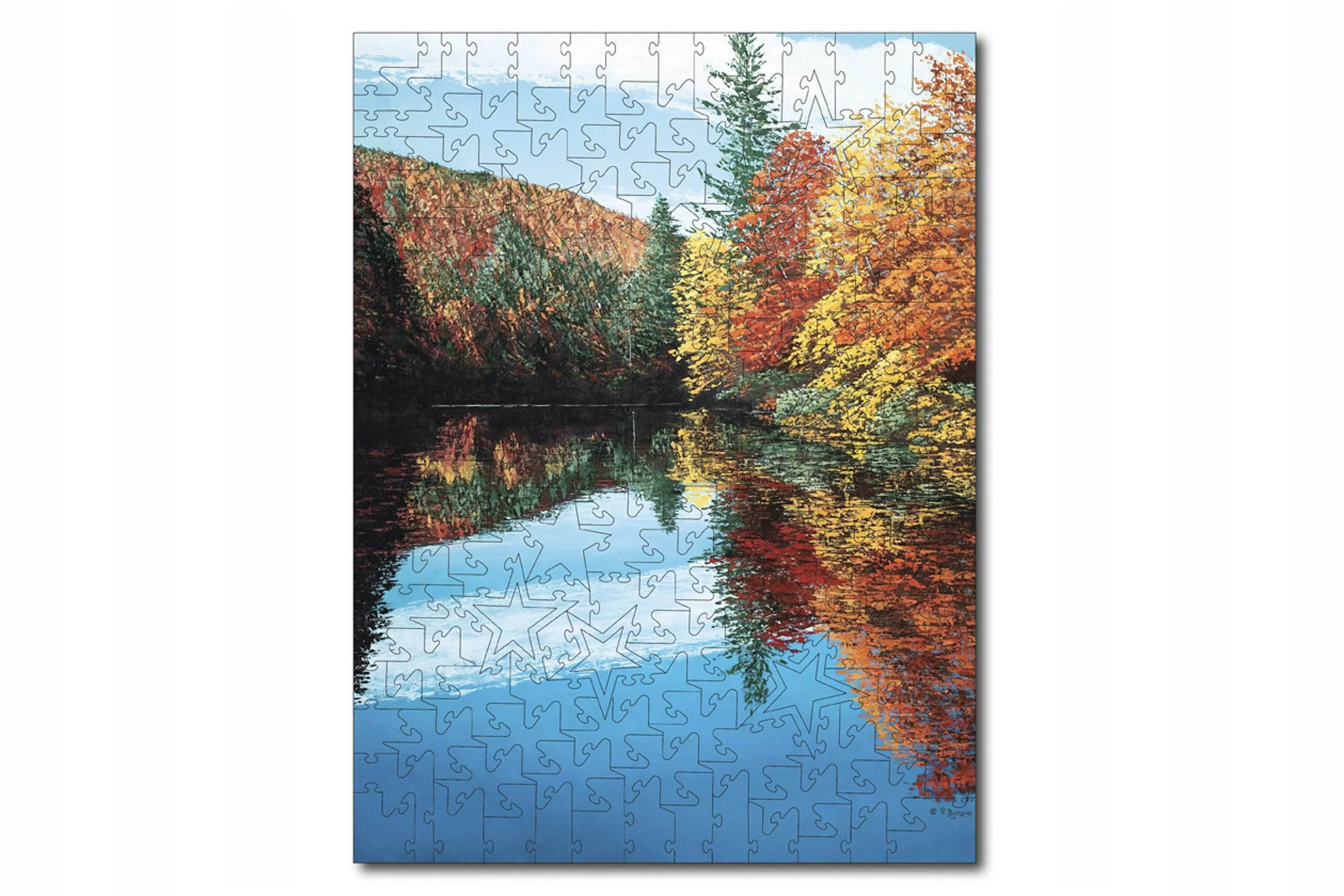 Wooden Jigsaw Puzzle ~ TIME TO REFLECT