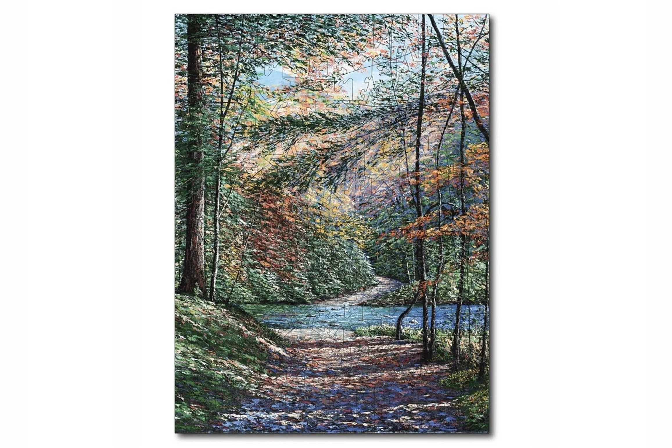 Wooden Jigsaw Puzzle ~ INTO THE GAP