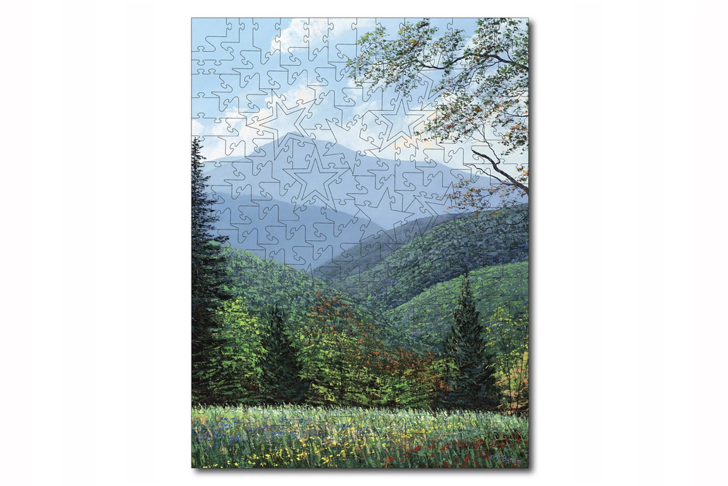 Wooden Jigsaw Puzzle ~ COLD MOUNTAIN SPRING