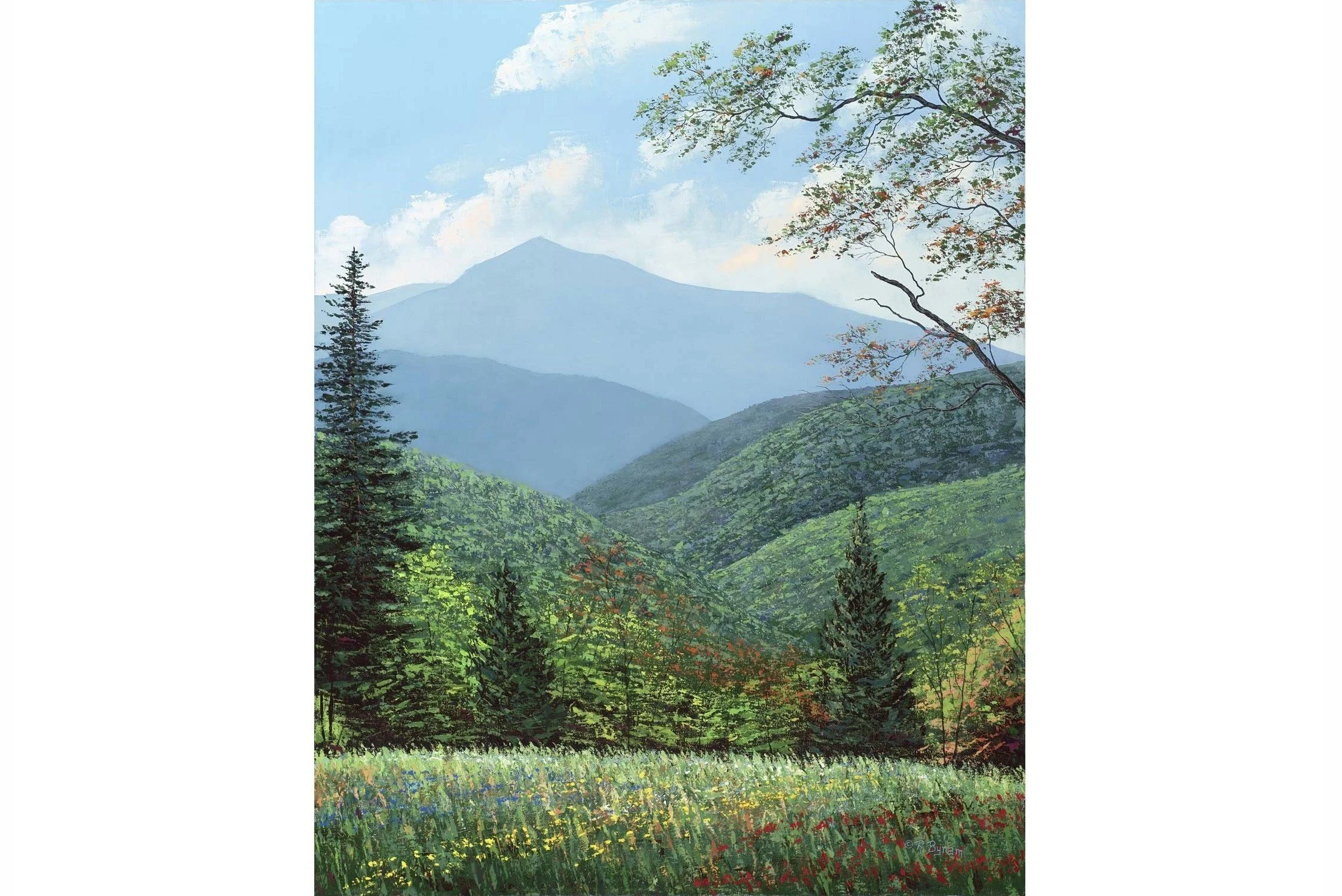 COLD MOUNTAIN SPRING ~ Fine Art Prints on Paper & Canvas