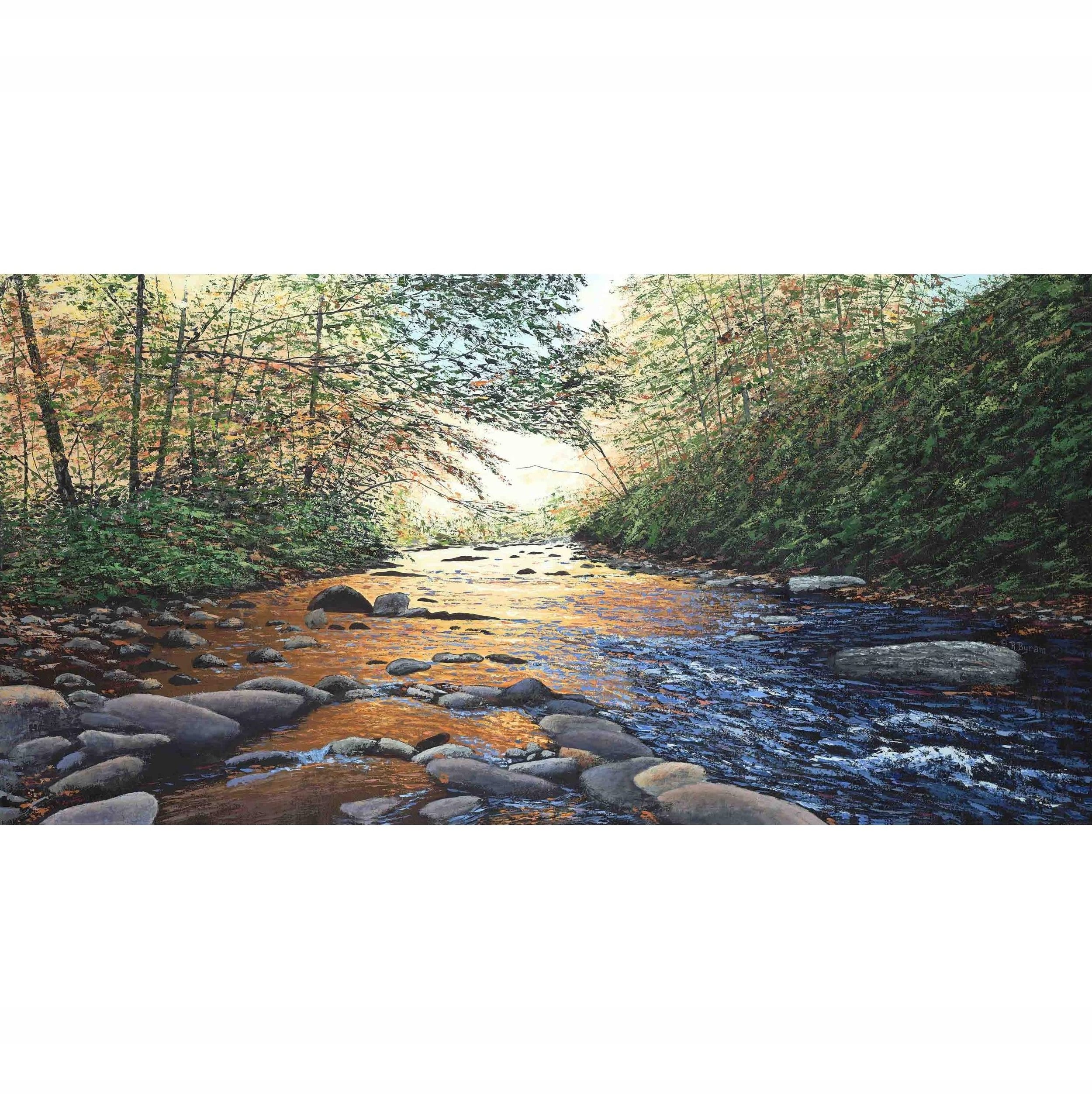 THE MORNING'S GLORY ~ Fine Art Prints on Paper & Canvas