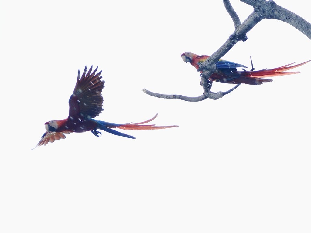 The Driver pulled over, and for about 3 minutes I managed to get these photos