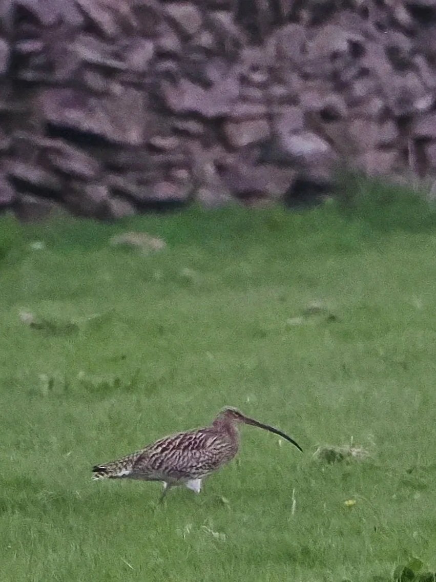 What an extraordinary bill