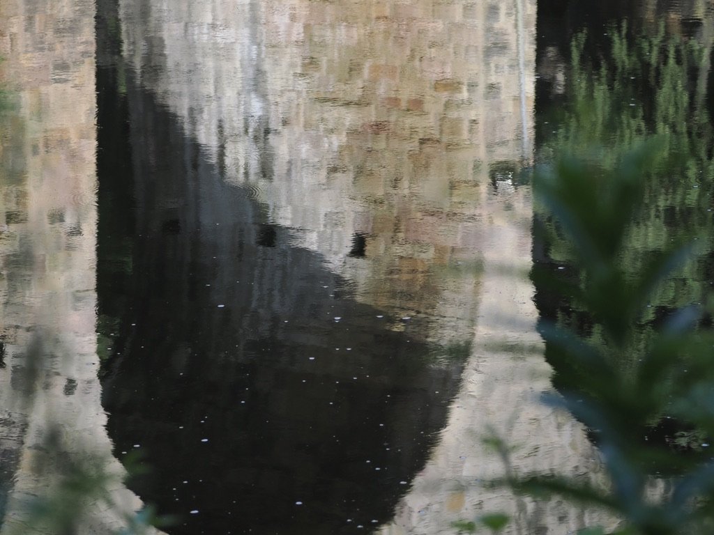 8B303C91-3E18-4018-BC22-A6D4048B111A_1_105_c.jpeg