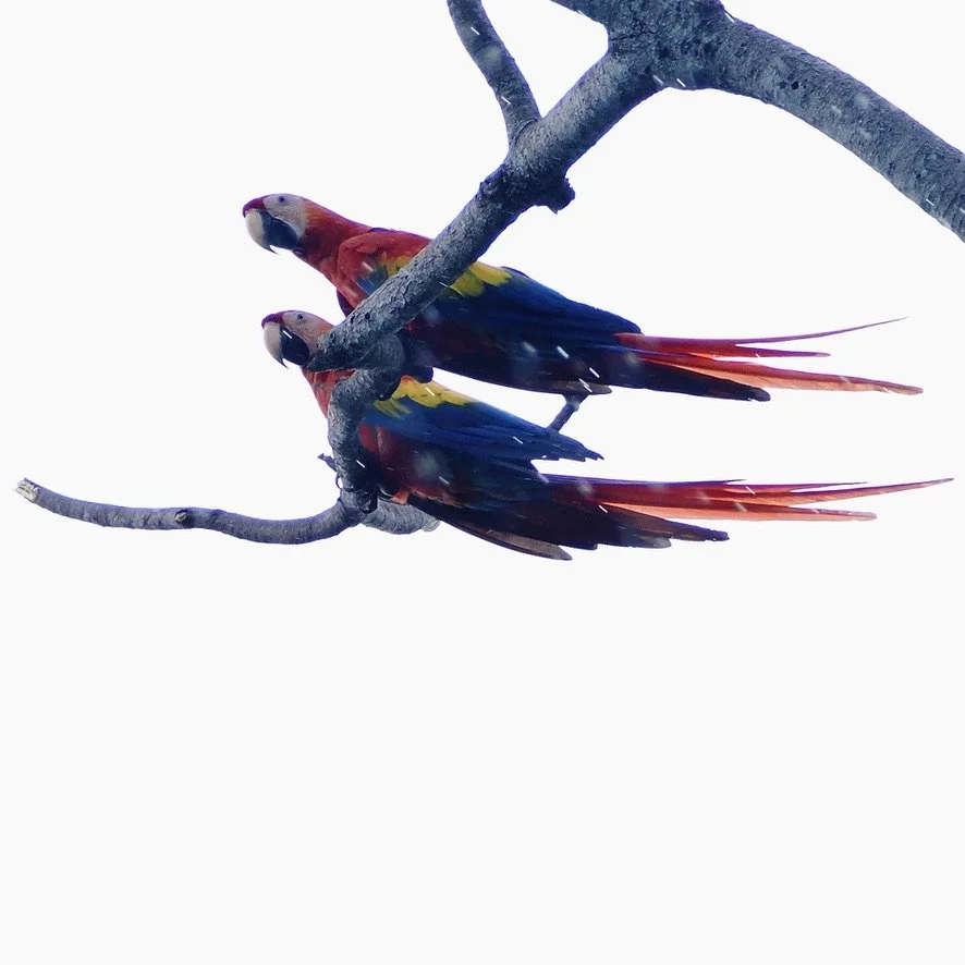 And them it calmed down.  We made the flight on time, but the delay was worth it.