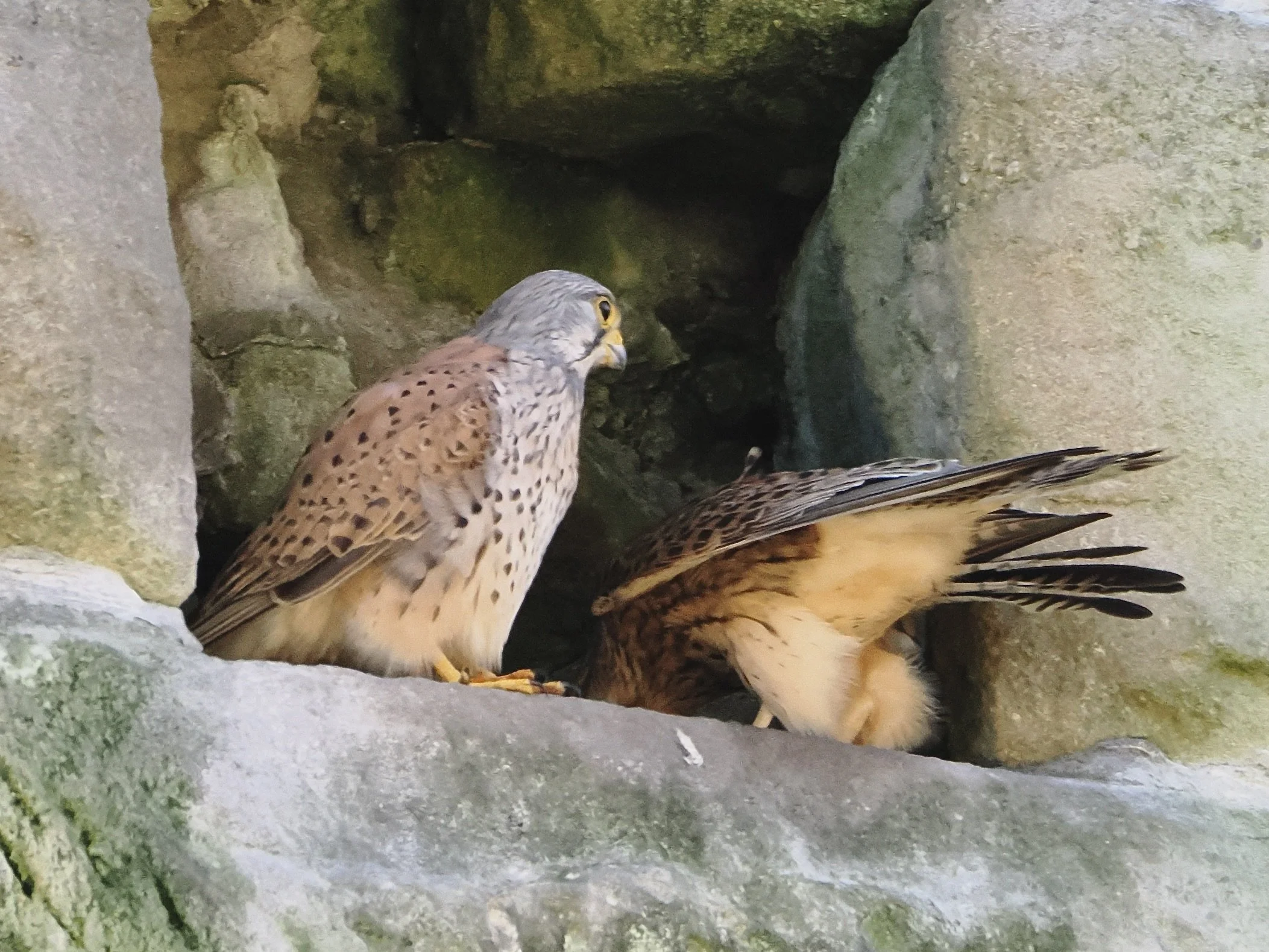 90C84323-2111-4C4F-8A07-E455514AB952_1_201_a.jpeg