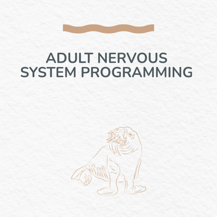 Adult Nervous System Programming