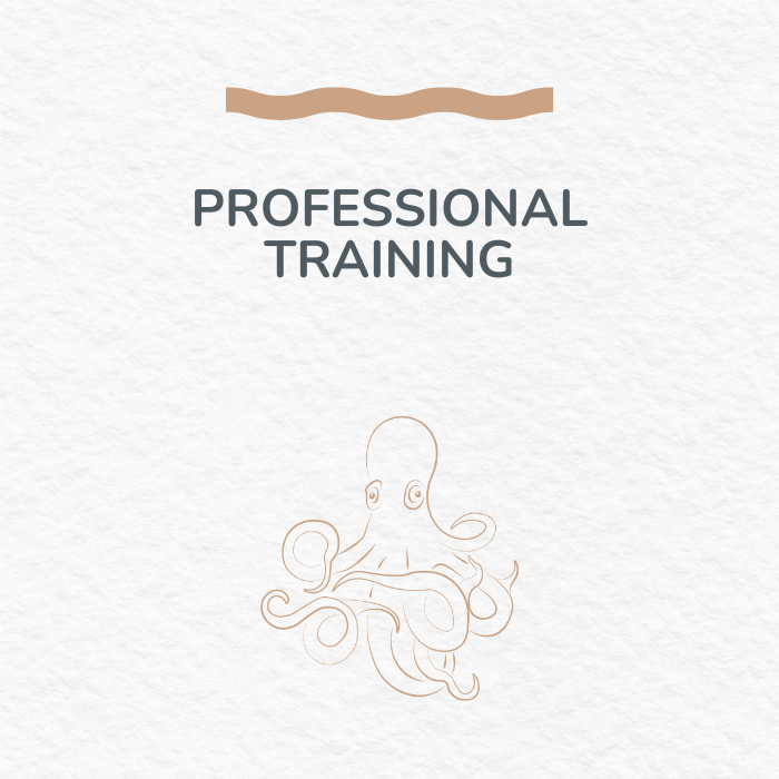 Professional Training for Youth-Serving Professionals