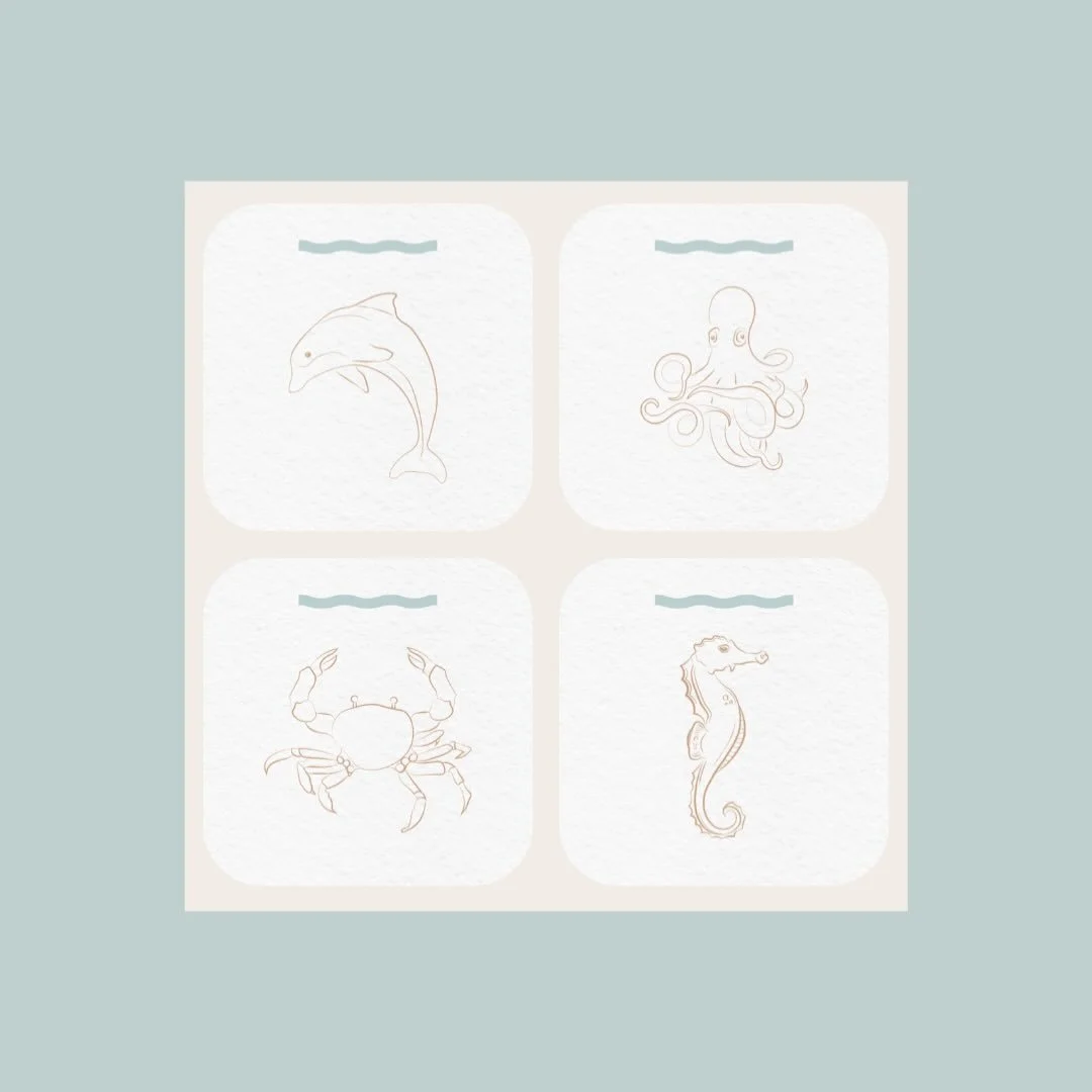 Littles Seasource Studio Launching Soon