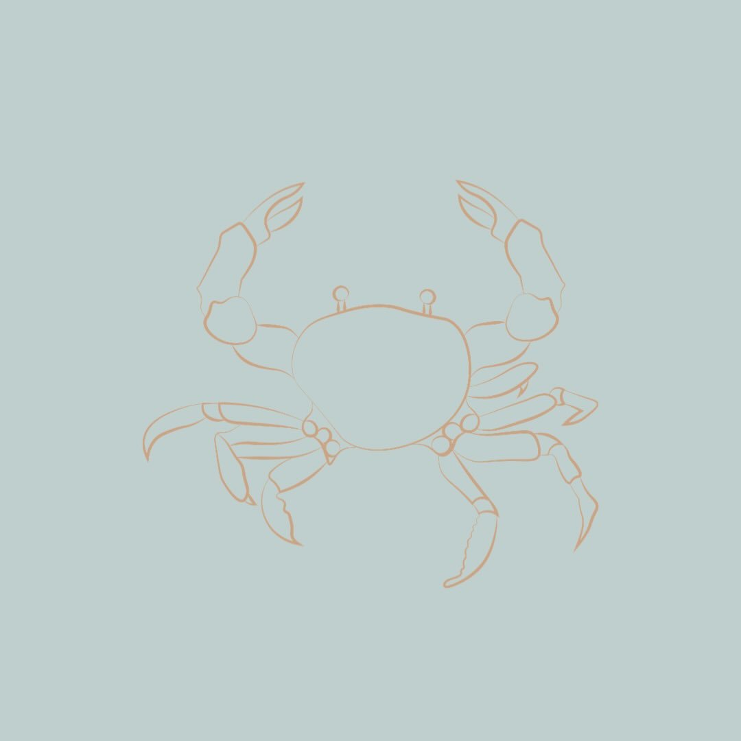 A CREATIVE LANGUAGE FOR THE NERVOUS SYSTEM
Seasources&trade; are Stacia&rsquo;s signature, ocean-inspired tools for nervous system regulation. They translate complex neuroscience into simple, sensory, and creative practices that feel intuitive, groun