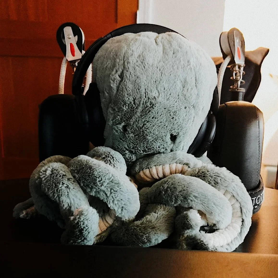 For youth participants who would benefit from additional nervous system support, the Safe and Sound Protocol (SSP) is available as an add-on service.

Using specially filtered music delivered through headphones, SSP gently supports regulation and hel