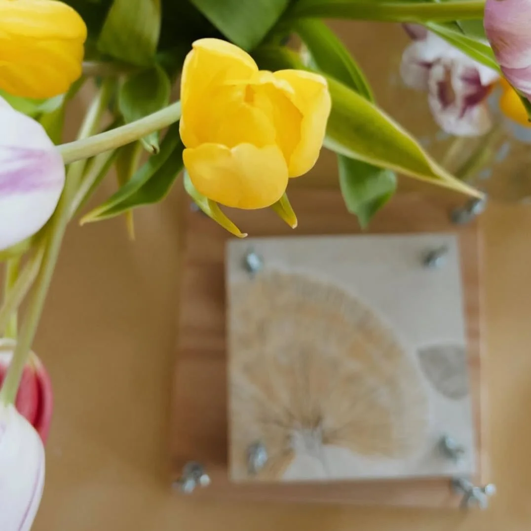 Planting Cold Annuals &amp; Flower Pressing

Date: Saturday, April 11th 
Time:1-4pm
Location: Sea to Believe Expressive Arts Studio, Humarock, MA
Investment:$85
Facilitated by: Stacia &amp; Julie
About the Gathering

As winter loosens its grip and th