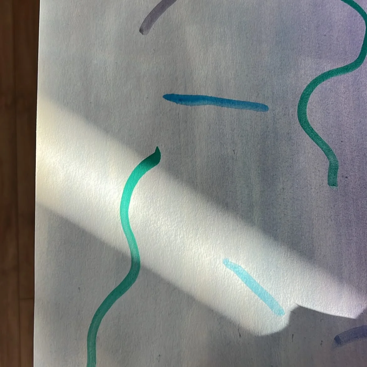 The light in this studio lately 😍