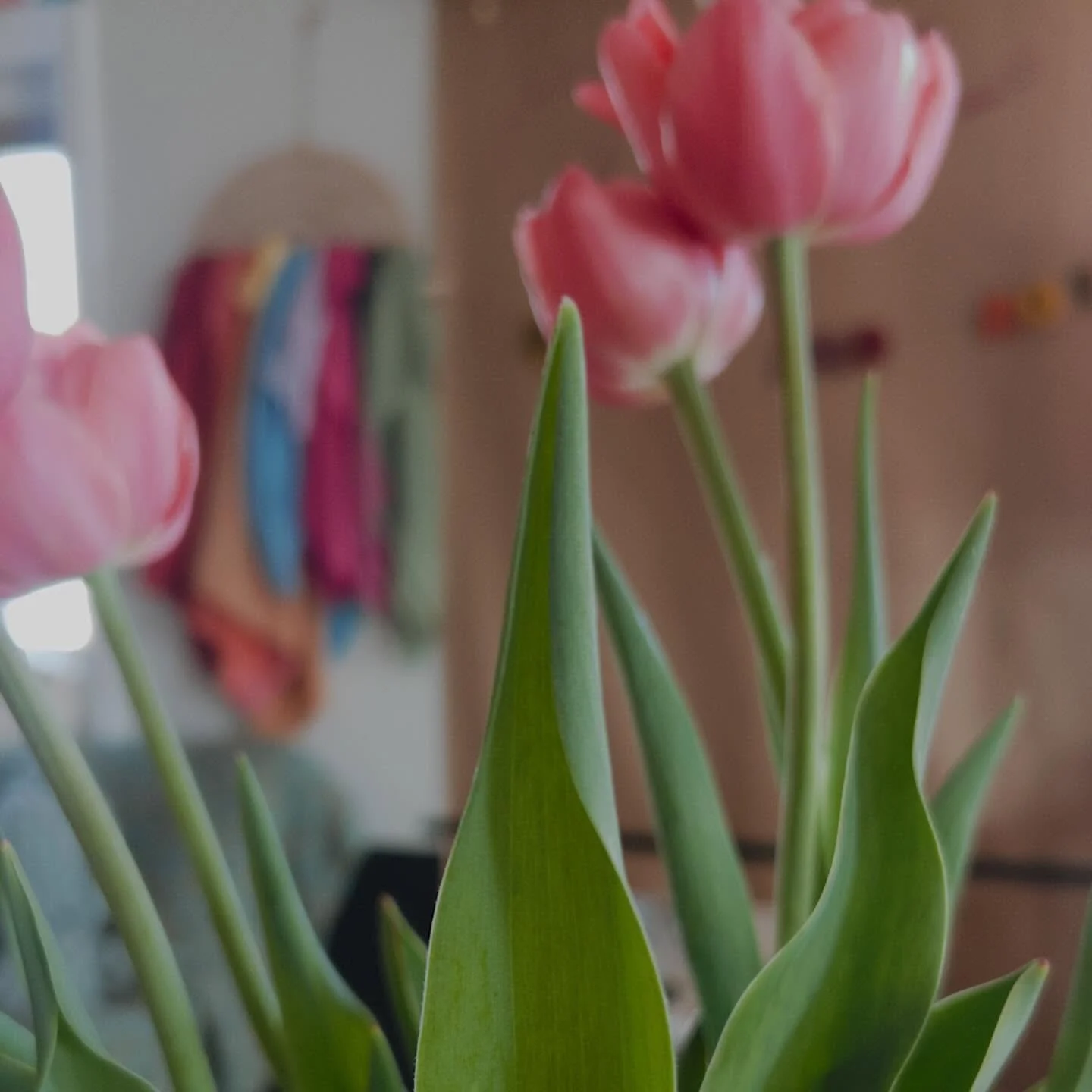 Grateful for the little things that filled my cup today! Early morning studio chat with local business ladies, gifted tulips, warm cookies and a lunch date with our sea of support mamas and babies at maes ☀️🌷🥗