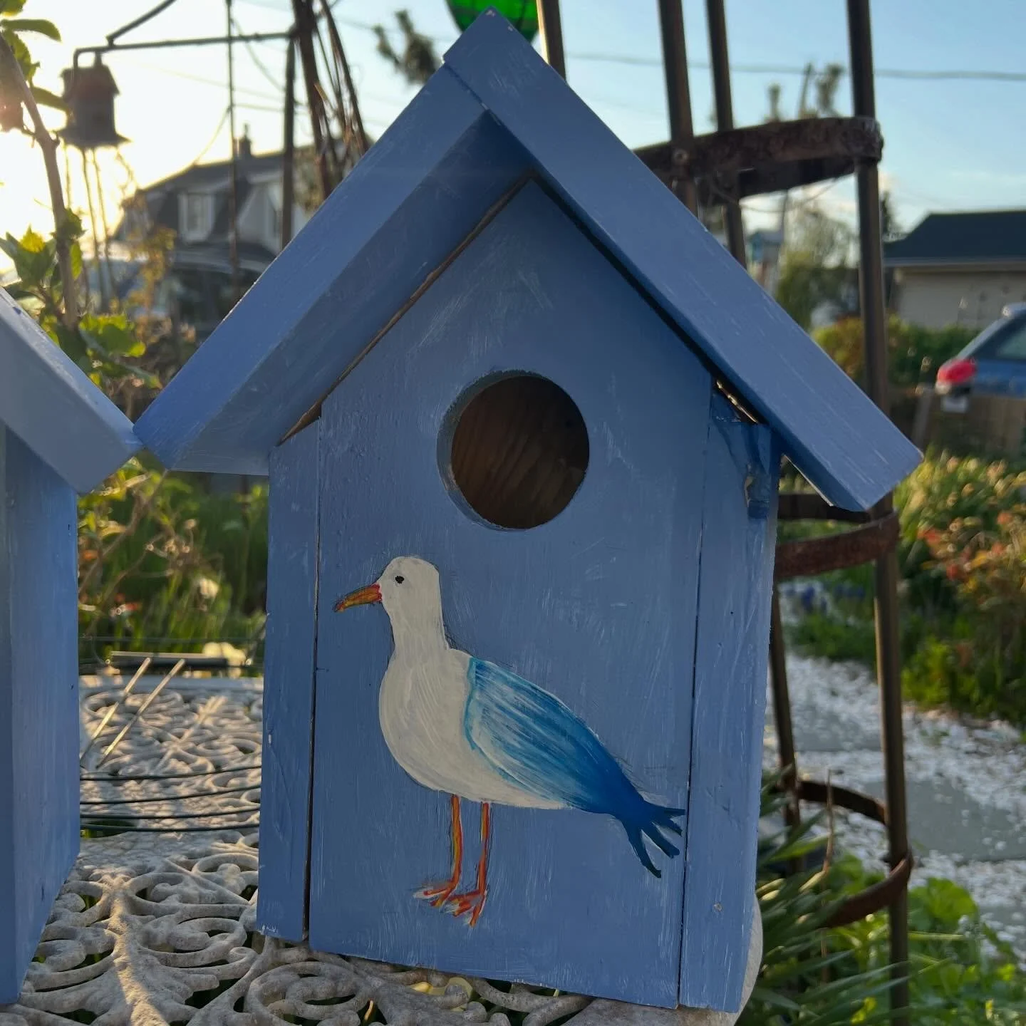 There are some lucky birds on the south shore right now in new homes thanks to our sea to believers 🪺