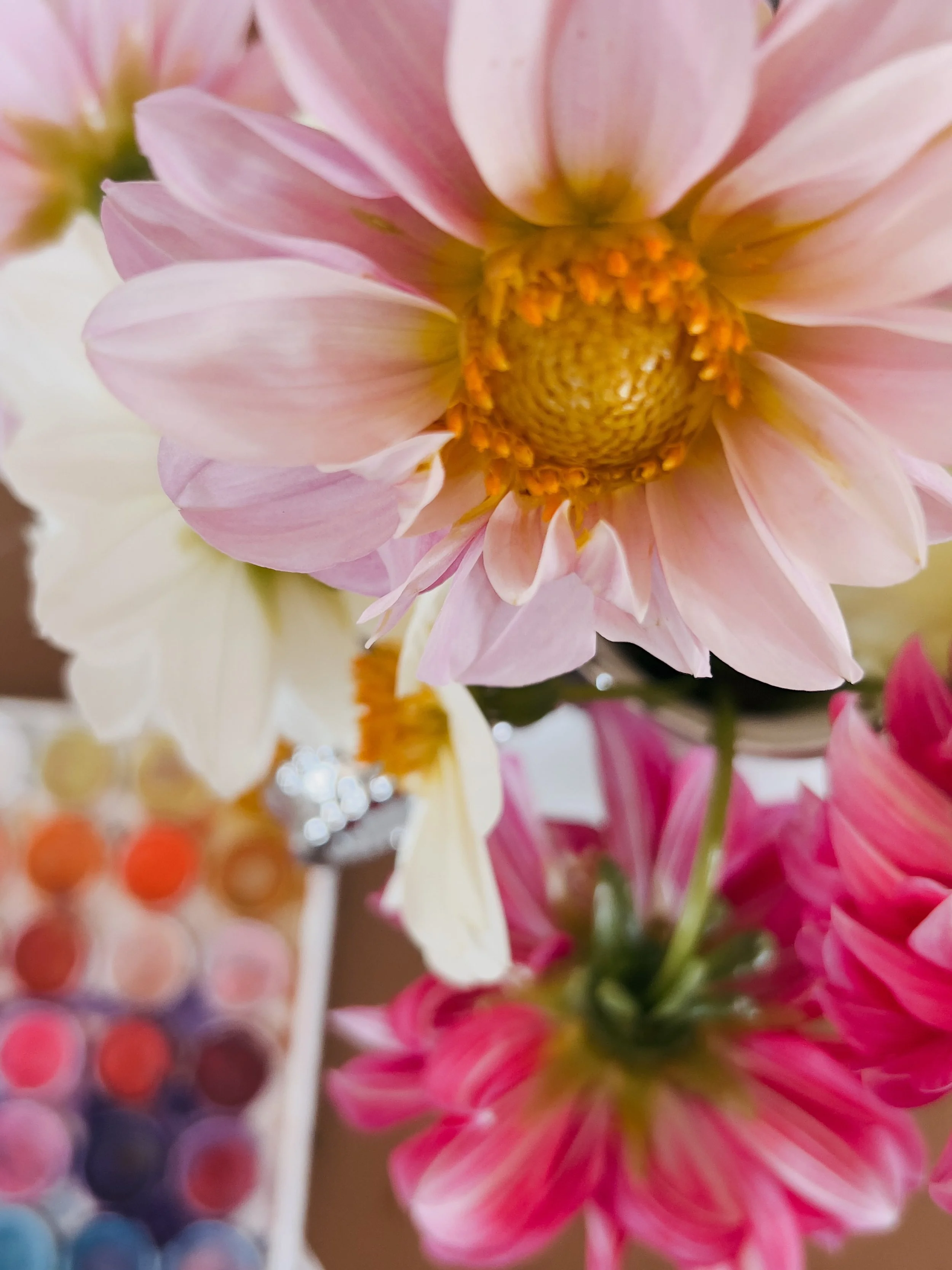 Creative Currents : One Last Summer Bouquet 

Date: Friday September 18th 
Time: 12-3pm
Location: Sea to Believe Expressive Arts Studio, Humarock, MA
Investment:$85
Facilitated by: Stacia &amp; Julie

Join us for a gentle summer gathering in the stud